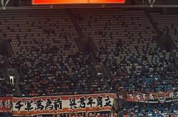 包含深圳主场击败广州，稳住积分榜位置的词条